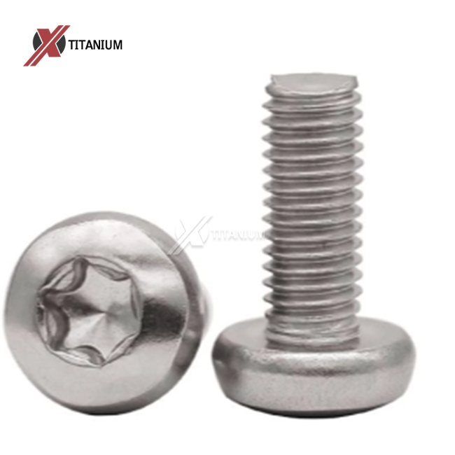 Titanium torx pan head screws
